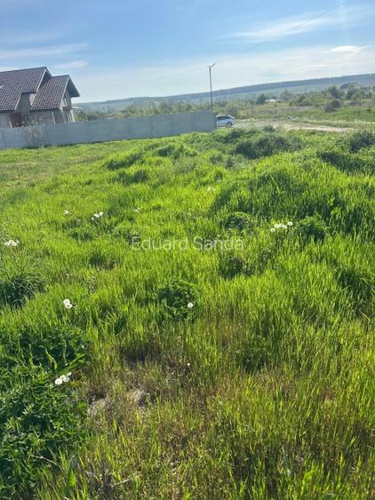 Teren de vanzare Târgu Jiu  - 9