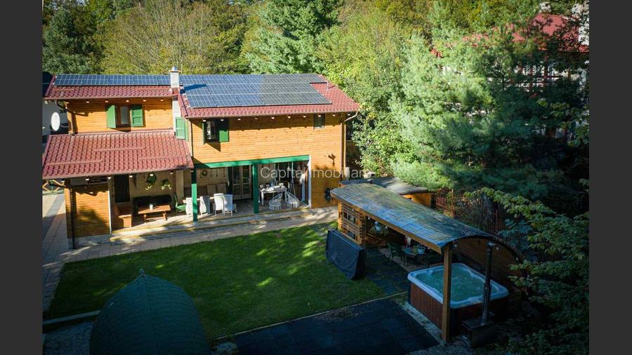 Casa de vacanta superba in Crivaia - 2