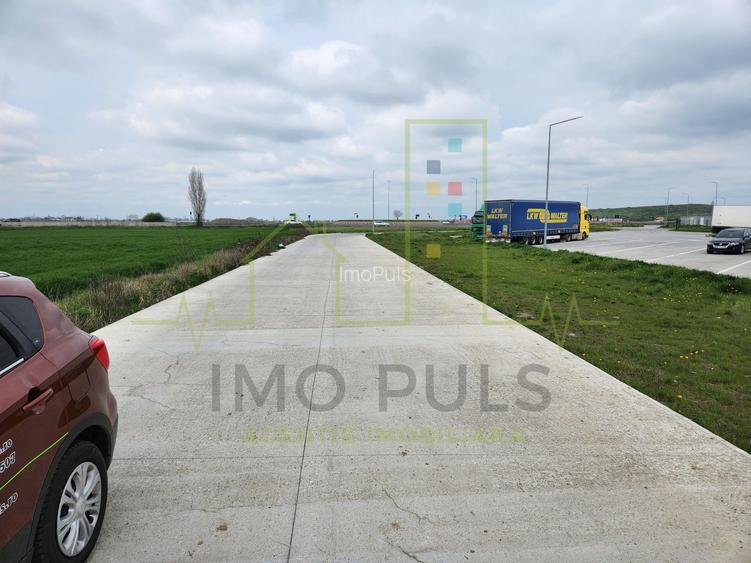 Teren intre SAG si Timisoara, langa depozit Profi - 3