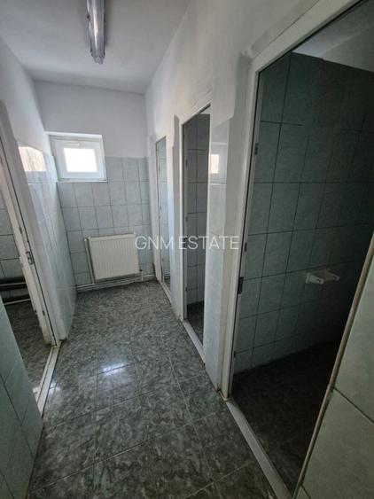 Vanzare Hala P+!  sector 3 Drum intre Tarlale - 15