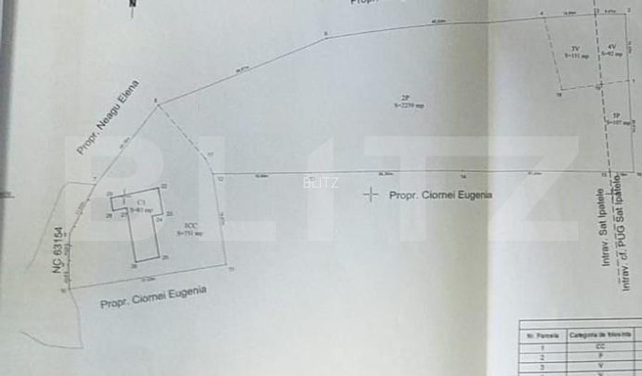 Casa batraneasca cu teren de 6700 mp intravilan, Ipatele - 4
