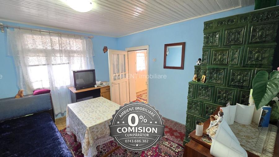 Gospodărie tradițională în localitatea SECUIA, la 10 km de Vaslui; - 8