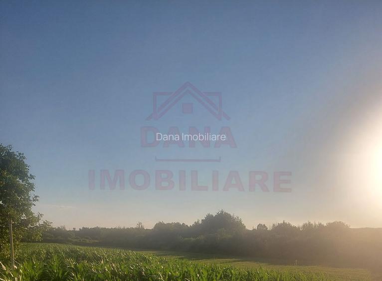 TEREN DE VÂNZARE-32480 mp CARANSEBEȘ JUD.CS,  0% COMISION - 2