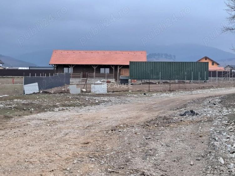 Teren intravilan 1450 mp – Carpiniș , Ideal pentru casă de locuit - 12