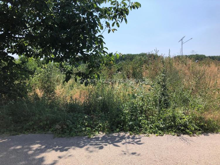 Teren Intravilan 2850 mp - zona Strada Digului - Vivo Mall/Petrom - 6