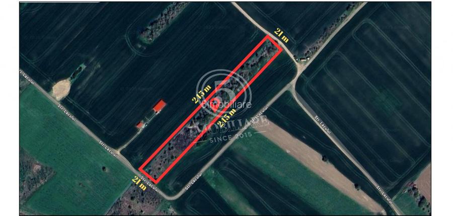 Teren intravilan, Cornetu, Ilfov – 5.590 mp - 2