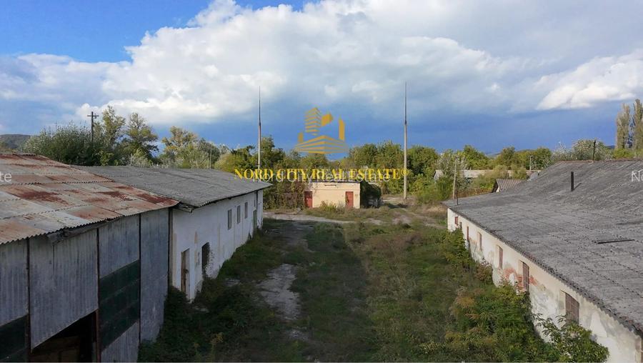Platforma Industriala-8 ha -Fabrica-Hale Productie-21.500 mp - 8