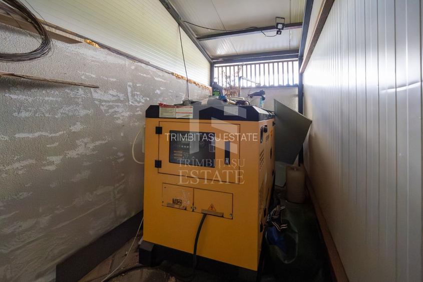 Sanpetru ,Subcetate-Casa 4 camere,3 bai+480 mp teren - 26