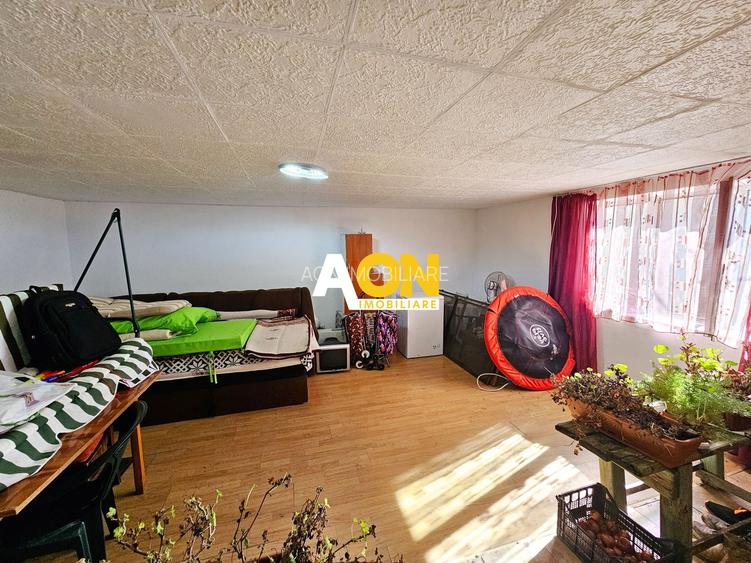 Casa 4 camere + anexe, 2084 mp teren, Totoi, la 10 km de Alba Iulia - 18