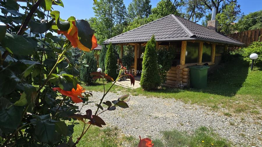 Casa de vis în inima naturii – Valea Doftanei, Prahovaa - 4