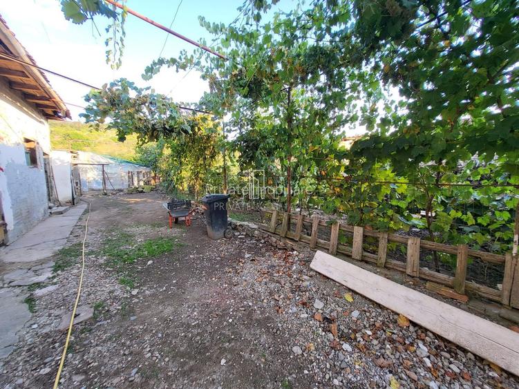 Casa cu o suprafata totala 1927 Mp, Seleus, Danes - 12