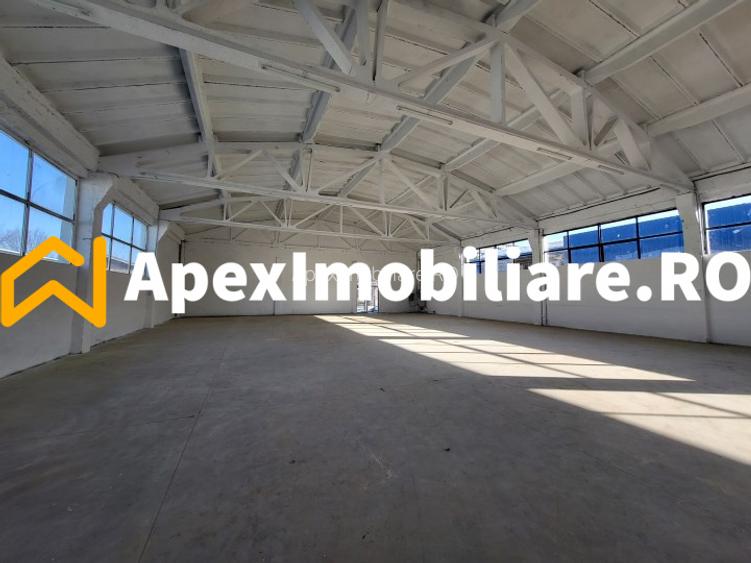 Hala Industriala Xenia – 1800 mp, Acces TIR, Parcare 50 Auto - 21
