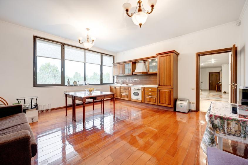 Vila exclusivista in Baneasa – teren 3.718 mp, suprafata desfasurata 1.750 mp - 9