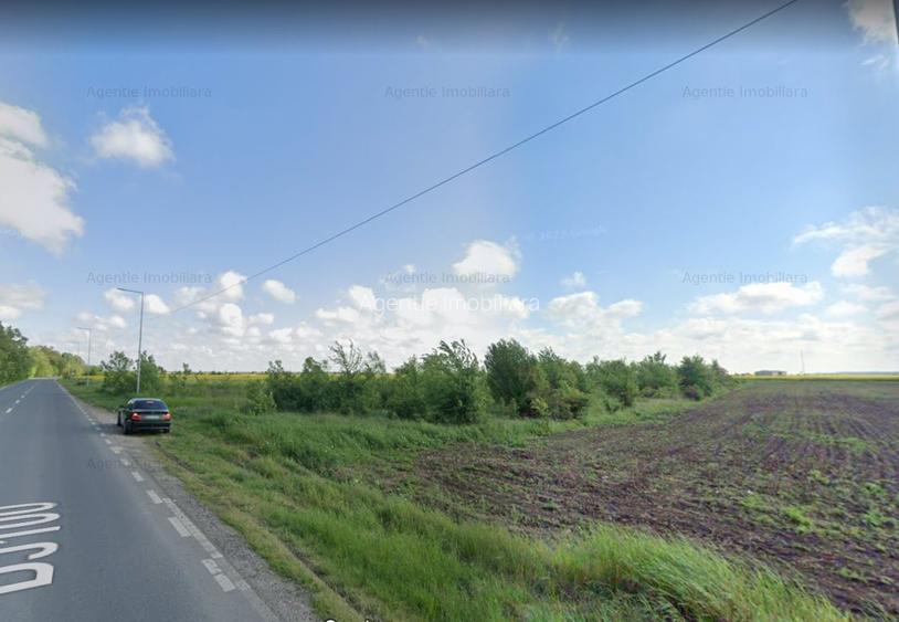 Teren Branesti 1016 mp - intre padure si A2 - Comision 0% - 4