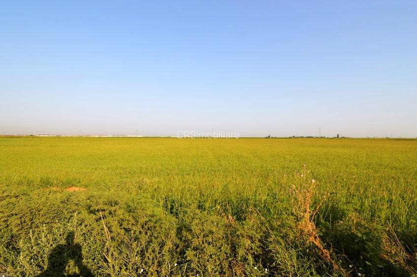 Oferta Vanzare Teren Intravilan Dobroesti - 7