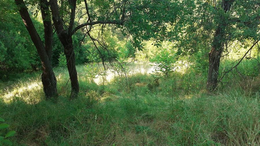 Proprietar vand  parcela pentru cabana de vacanta,   doar 6500 euro - negociabil - 8