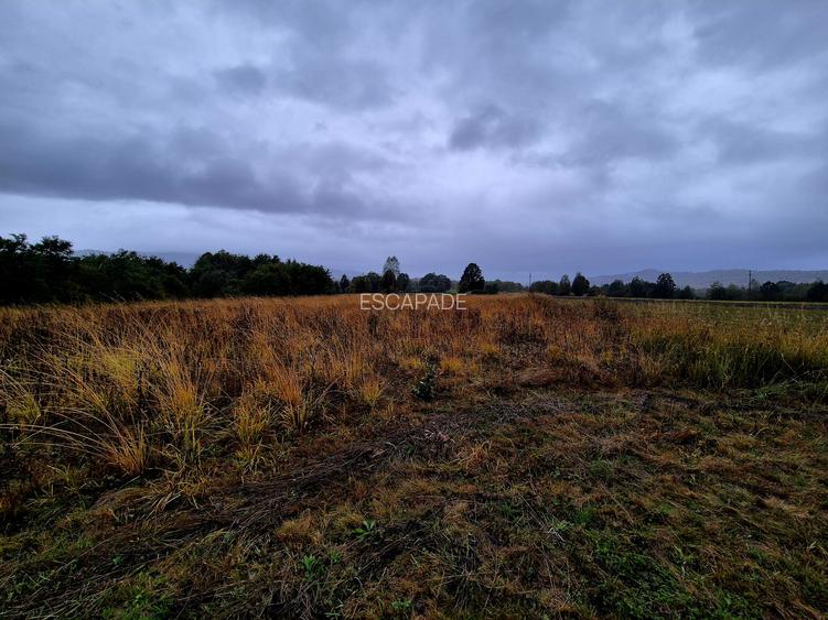 Comision 0%, teren extravilan 12497 mp Sinca Noua - 13