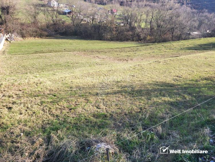 Teren intravilan constructii Tauti - 3