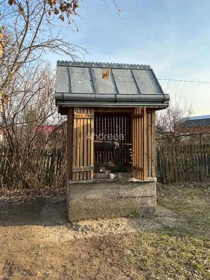 Casa  Batraneasca 100 MP + teren intravilan 400 MP , 4500 MP extravilan - 3