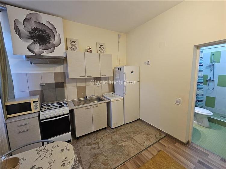 Inchiriere apartament 1 camera zona Marasti, strada Slatina Cluj-Napoca - 9