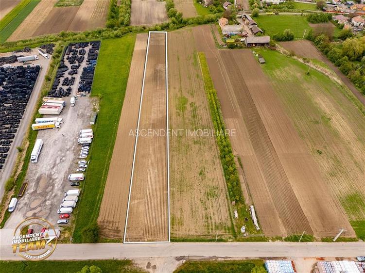 FILM! 5.000 mp teren, la marginea orasului Targu Secuiesc, aria industriala - 2