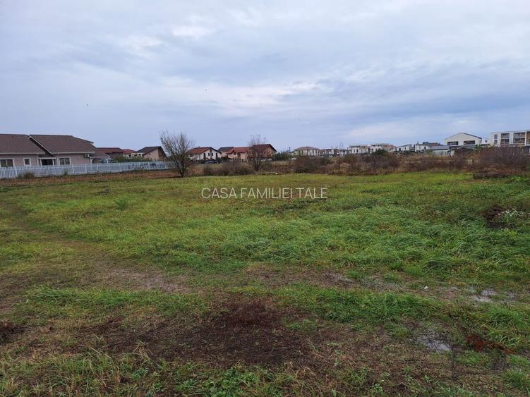 OFERTA!!! 720mp in Dumbravita -Ikea... 150 euro/mp - 3