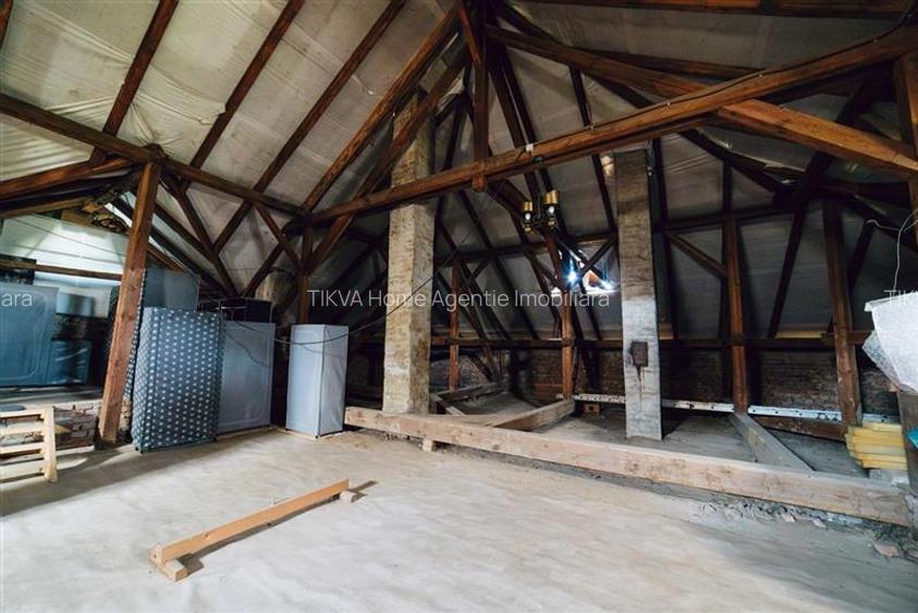 Vila in stil Art Nouveau (Targu Mures, str. Alexandru Papiu Ilarian) - 43