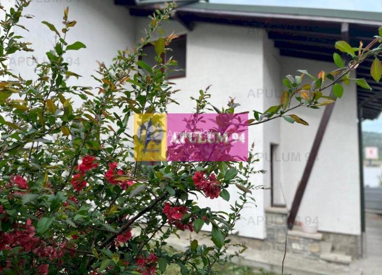 Vilă de vânzare în Comarnic - 46