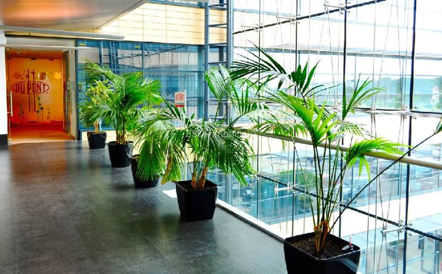 Baneasa Business & Technology Park cladirea A, Baneasa, 208 - 852 mp  0% comision! - 4