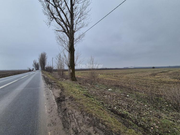 TEREN DE VANZARE LA SOSEA - STEFANESTI ILFOV - 2