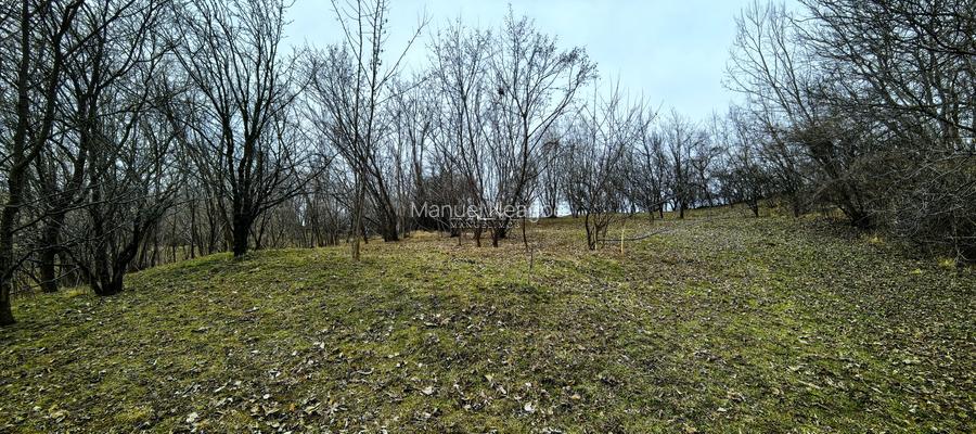 Teren Breaza 2623mp , pot 35% , cut 1,2 conform cert urb.intravilan - 8