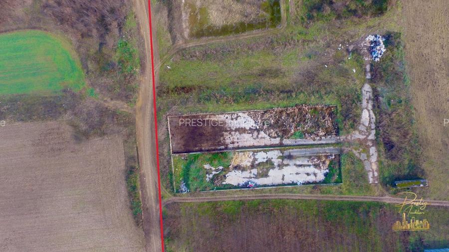 Domeniu - Centru de colectare, 7 ha de vanzare in Valea lui Mihai - 17