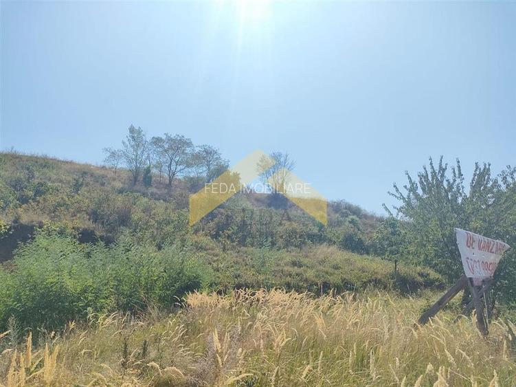 Teren intravilan pe deal Paulis, Arad - 5