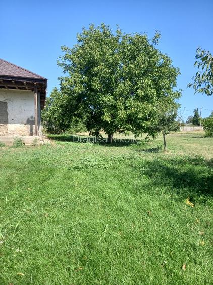 Teren de vanzare 14 000 mp sau mai putin, Sat Postavari - 3