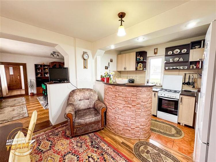 Ansamblu:doua case+anexe+domeniu de 10.101mp, Intorsura Buzaului,Covasna: FILM& - 23