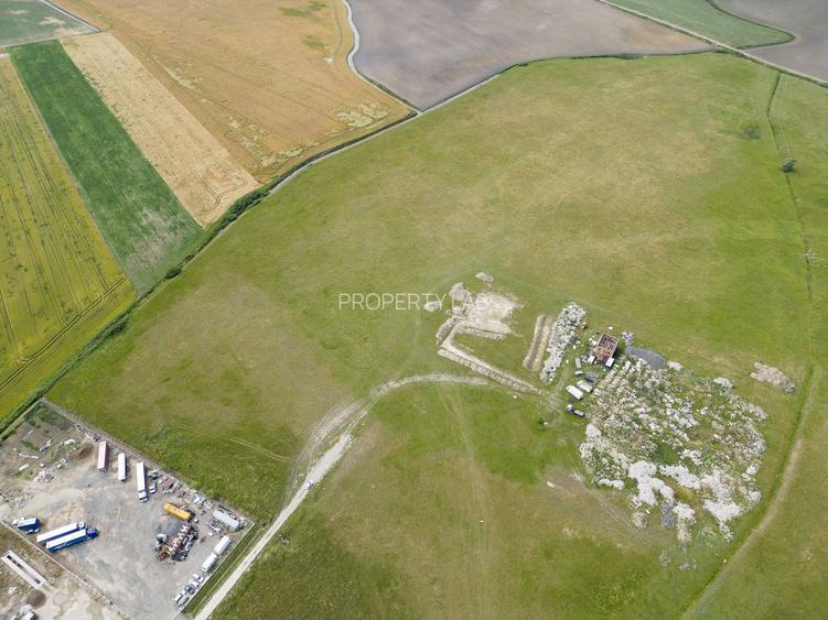 Teren intravilan de 26,606mp Sacalaz - 29