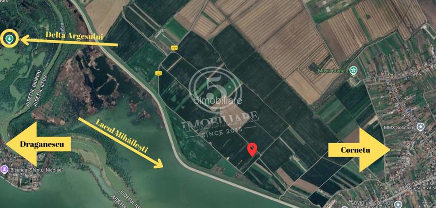 Teren intravilan, Cornetu, Ilfov – 5.590 mp - 4