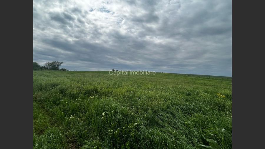 Teren de vânzare Bals Com. Voineasa, Sat Racovita - 3