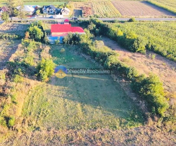 CASĂ + Teren  5.400 mp – Comuna TIMIȘEȘTI - 4