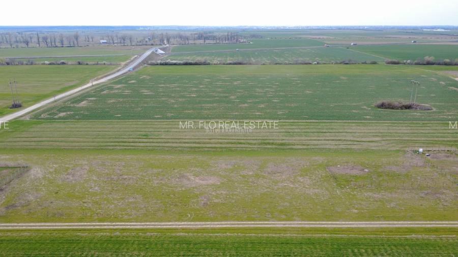 Teren ideal pentru casă sau investiție – Chișoda (Giroc), Poligonului - 4