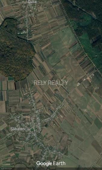 Vanzare teren Sabareni, 5.000 mp, langa Padurea de Tei - 6