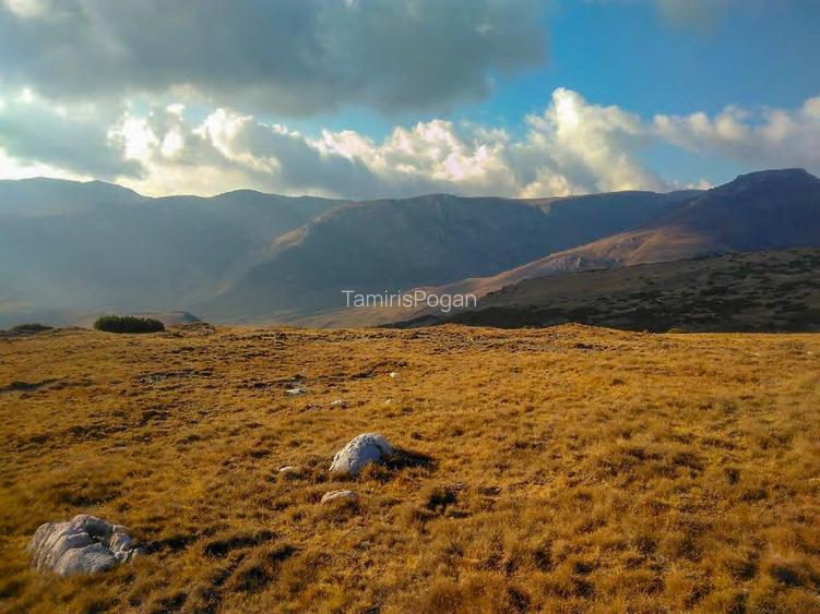 terenuri in Bucegi, Zona Alpina Inalta, pentru dezvoltare cabane, vile turistice - 4