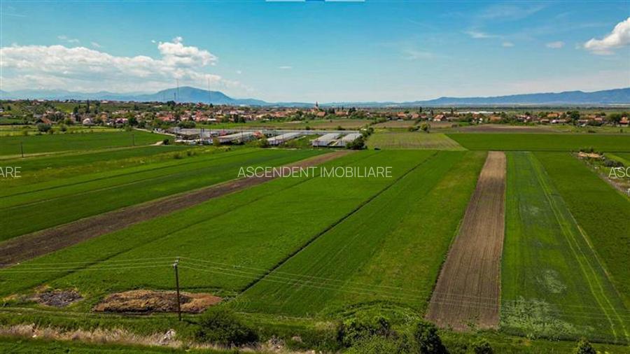 FILM! Teren extravilan 5.000 mp in zona linistita cu acces facil, Bod, Brasov. - 3