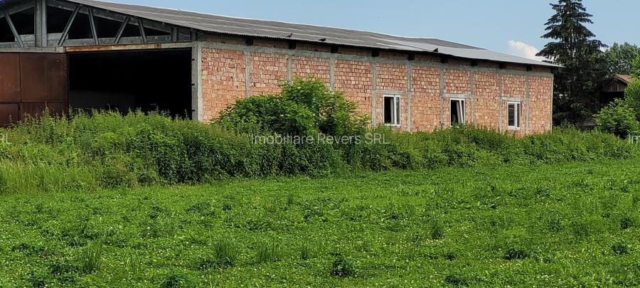 HALA 400 MP - ZIDARIE  IN CONSTRUCTIE-CU TEREN 6100 MP, DUBLU ACCES TIR BABENI - 25