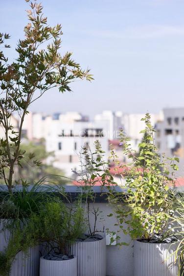 Penthouse unic de vanzare *Dacia- Eminescu* - 50