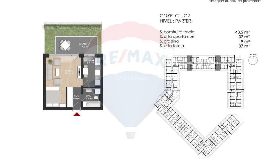 Studio cu gradina de vanzare in zona Chitila - 6