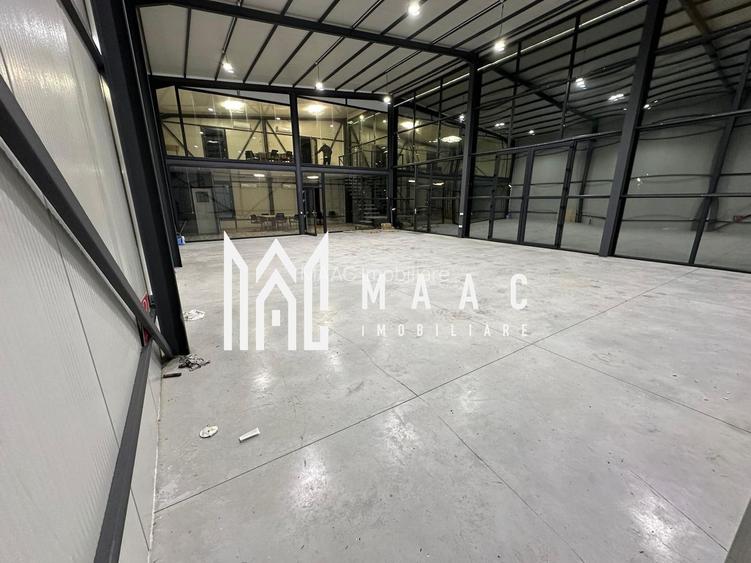 Hala | 250 MP |  Teren 3900 MP | - 2