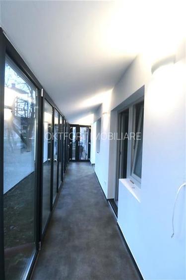 Spatiu comercial, zona Torontalului - 12