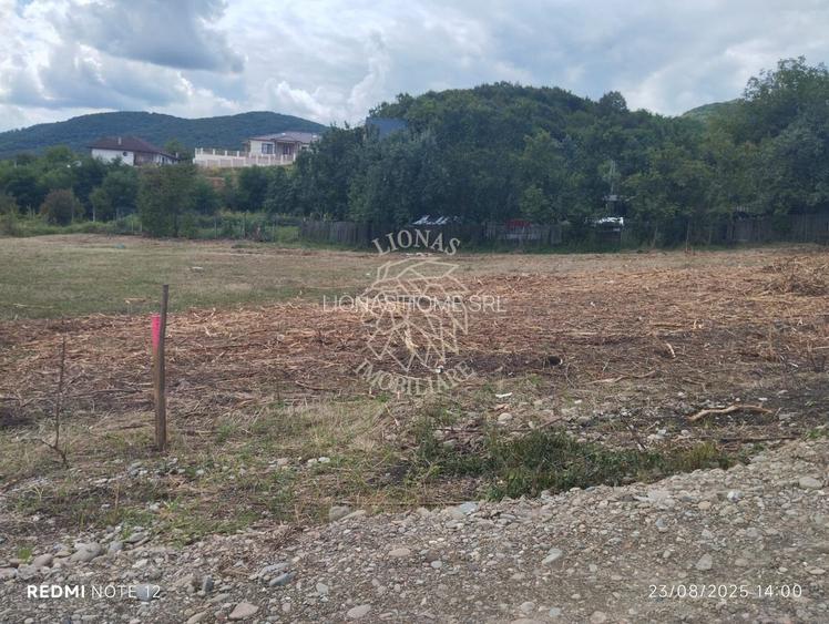 Teren 1200 mp-pretabil casa si gradina-Viisoara - 2