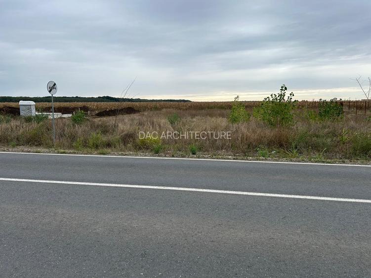 TEREN INTRAVILAN 794 MP MOARA VLASIEI / GRADISTEA - 5